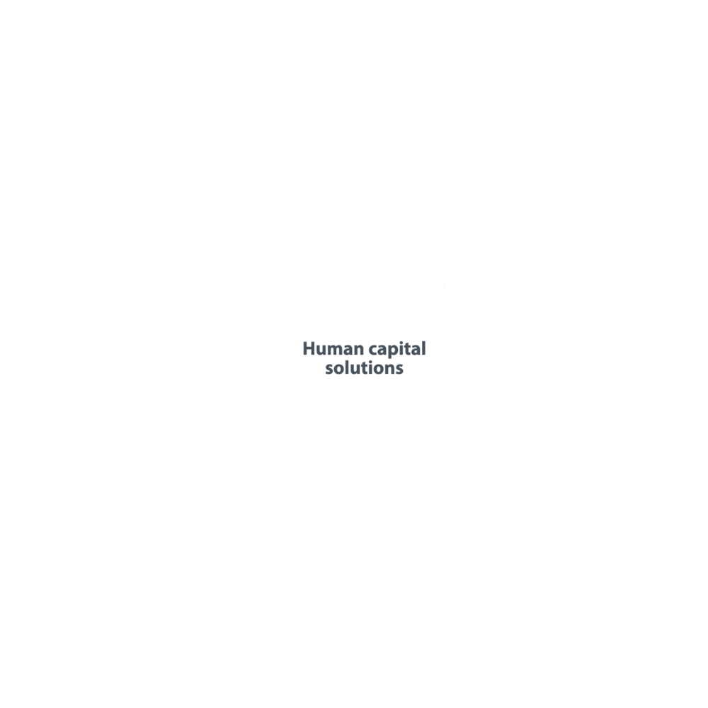 HUMAN CAPITAL WHEEL